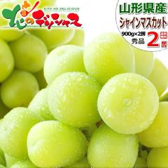 �y�\��z �R�`���Y �Ԃǂ� �V���C���}�X�J�b�g 2�[ (�G�i/900g�~2�[/�①/12��4��-1�����{) �{ �~�̃M�t�g ���Ε� ��N�� ���������� ��