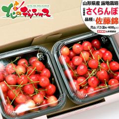 �y�\��z �R�`���Y �������� ������ 400g (�G�i/M�T�C�Y/�΂�l��/200g�~2p/���ϔ�����/�N�[���①) ���� �{ �T�N�����{ �M�t�g ���蕨