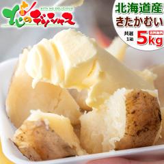 �y�o�ג��z �k�C���Y �V���Ⴊ ���Ⴊ���� �������ނ� 5kg (JA����/M-LM�T�C�Y/�퉷) �{ �H��� ��� �k���ނ� �k�J���C �W���K�C�� �n��