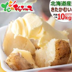 �y�o�ג��z �k�C���Y �V���Ⴊ ���Ⴊ���� �������ނ� 10kg (JA����/M-LM�T�C�Y/�퉷) �{ �H��� ��� �k���ނ� �k�J���C �W���K�C�� �n
