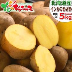 �y�\��z �k�C���Y �V���Ⴊ ���Ⴊ���� �C���J�̂߂��� 5kg (JA����/M-LM�T�C�Y/�①) �H��� ��� �C���J �C���J�̖ڊo�� �W���K�C�� 