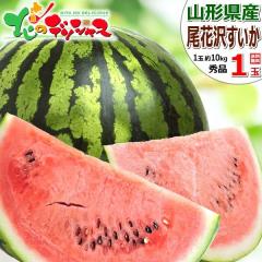 �y�\��z �R�`���Y ���ԑ򂷂��� 1�� (�G�i/1�� ��10kg�~1��) ���ԑ�X�C�J �ăX�C�J �ăX�C�J���{�� ������ �X�C�J ���Z ��� �ăM�t�g 