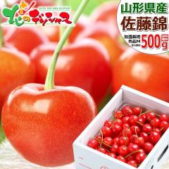 �y�\��z �R�`���Y �������� ������ (�G�i/L�T�C�Y/�΂�l��/���ϔ�) 2026 ���� �{ �M�t�g ���蕨 ���� ���j�� ���� ���Ԃ� ���j�� �v