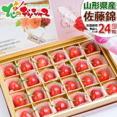 �y�\��z �R�`���Y �������� ������ (�G�i/L�T�C�Y/24��/���ϔ�) 2026 ��̓��M�t�g �M�t�g ���蕨 ���j�� �v���[���g �Ԃ��J�[�l�[�V