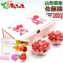 �y�\��z �R�`���Y �������� ������ 200g (�G�i/M�T�C�Y/100g�~2p/���ϔ�) 2026 ��̓��M�t�g �M�t�g ���蕨 ���j�� �v���[���g �Ԃ��J