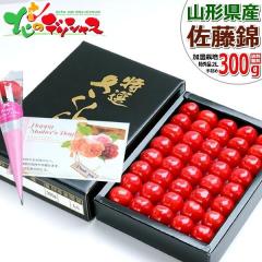 �y�\��z �R�`���Y �������� ������ 300g (���G�i/2L�T�C�Y/��l��/���ϔ�) 2026 ��̓��M�t�g �M�t�g ���蕨 ���j�� �v���[���g �Ԃ�