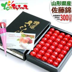 �y�\��z �R�`���Y �������� ������ 300g (���G�i/L�T�C�Y/��l��/���ϔ�) 2026 ��̓��M�t�g �M�t�g ���蕨 ���j�� �v���[���g �Ԃ��J