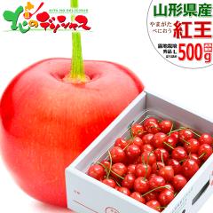 �y�o�ג��z �R�`���Y �������� �g�� 500g (�G�i/L�T�C�Y/�΂�l��/���ϔ�����/�①) �{ �I�n �ׂɂ��� �ăM�t�g ������ �M�t�g ���� ��