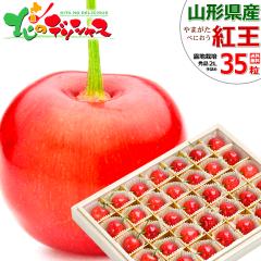 �y�o�ג��z �R�`���Y �������� �g�� (�G�i/2L�T�C�Y/1��35������/�ˉ��ϔ�����/�①) �{ �I�n �ׂɂ��� �ăM�t�g ������ �M�t�g ���� 
