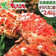 Jj  ^oKjp 2.4kg (p/12.4kg/{CⓀ) CN ΊI ^oI Ύp ^op {C ~Mtg Ε N M