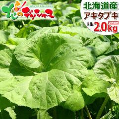 �y�\��z �k�C���Y �R�� �V�R �A�L�^�u�L 2kg (�퉷) �t�̖��o �ӂ� �t�L �� �������ӂ� �H�c�ӂ� �H�c�� ���}�u�L �R�Ԃ� �R�� �M�t�g 