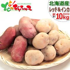 �y�\��z �k�C���Y �V���Ⴊ ���Ⴊ���� ���ƒ�p 10kg (JA����/�󂠂�/�C���J�̂߂��� 5kg/���b�h���[�� 5kg/�①) �H��� ��� �C���J