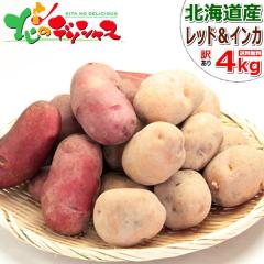 �y�\��z �k�C���Y �V���Ⴊ ���Ⴊ���� ���ƒ�p 4kg (JA����/�󂠂�/�C���J 2kg/���b�h���[�� 2kg/�①) �H��� ��� �C���J�̖ڊo�� 