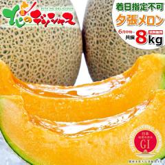 �y�\��/���͂����w��s�z �k�C���Y �󂠂� �[�������� 8kg (JA����/�Ǖi/����/�N�[����) JA�[���s �n���I�\���F�� GI ������ �䂤�΂�