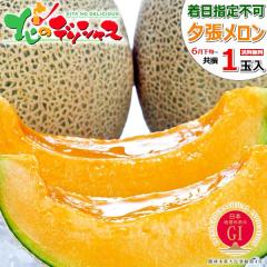 �y�\��/���͂����w��s�z �k�C���Y �󂠂� �[�������� 1�� (JA����/�Ǖi/�N�[����) JA�[���s �n���I�\���F�� GI ������ �䂤�΂胁����