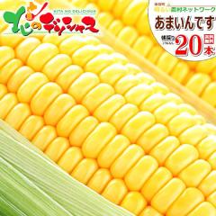 �y�\��z �k�C���Y ��y�� �Ƃ����낱�� ���܂���ł� 20�{ (���F/�①) ��y�����邢�_���l�b�g���[�N ���̂� �g�E�����R�V �X�C�[�g�R