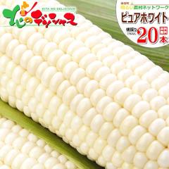 �y�\��z �k�C���Y ��y�� �Ƃ����낱�� �s���A�z���C�gSP 20�{ (���F/�①) ��y�����邢�_���l�b�g���[�N ���̂� �g�E�����R�V �X�C�[