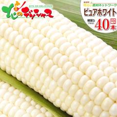 �y�\��z �k�C���Y ��y�� �Ƃ����낱�� �s���A�z���C�gSP 40�{ (���F/�①) ��y�����邢�_���l�b�g���[�N ���̂� �g�E�����R�V �X�C�[