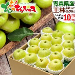 �y�\��z �X���Y ��� ���� 10kg (�G�i/26�ʁ`40�ʓ���/�퉷) �~�̖��o ������� �����S �ь� 10�L�� �M�t�g ���蕨 ���j�� ���� ��