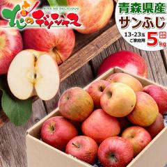 y\z XY ƒp  Tӂ 5kg (󂠂/13ʁ`23ʓ/H/퉷) ~̖o ӂ S ь X 5L 킯