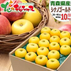 �y�\��z �X���Y ���ƒ�p ��� �V�i�m�S�[���h 10kg (���G�i/26�ʁ`46�ʓ���/�퉷) �~�̖��o �ӂ� �����S �ь� 10�L�� �킯���� ��