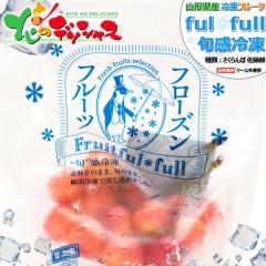 冷凍】 冷凍マンゴー(チャンク) 500g ☆ベトナムから直輸入 【入り数3