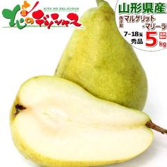 �y�\��z �R�`���Y ���m�� �}���Q���b�g�E�}���[�� 5kg (�G�i/7�ʁ`18�ʓ���) �{ �H�̖��o �m�� �Ǐn �H�׍� �ăM�t�g �c�������� �M�t�g