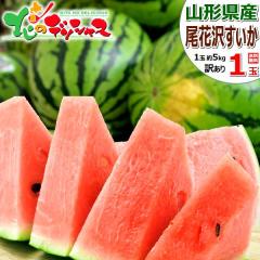 �y�\��z �R�`���Y ���ƒ�p ���ԑ򂷂��� 1�� (1�� ��5kg) ���ԑ�X�C�J �ăX�C�J �ăX�C�J���{�� ������ �X�C�J ���Z ��� ����p �ƒ�