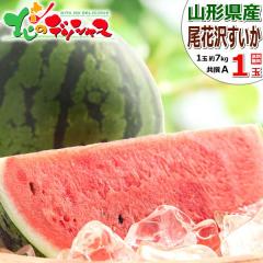 �y�\��z �R�`���Y JA�݂��̂����R ���ԑ򂷂��� 1�� (����/A�i/1�� ��7kg) ���ԑ�X�C�J �ăX�C�J �ăX�C�J���{�� ������ �X�C�J ���Z 