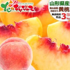 �y�\��z �R�`���Y ���� 3kg (���܍͔|/�G�i/7�ʁ`11�ʓ���/�①) �k�̓����� �k���̓� �����Ƃ� ���� ���� �� ���� �ăM�t�g �c��������