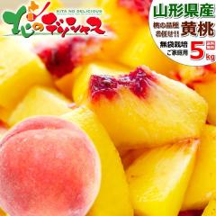 �y�\��z �R�`���Y ���ƒ�p ���� 5kg (���܍͔|/13�ʁ`22�ʓ���/�①) �킯���� �󂠂� �k�̓����� �k���̓� �����Ƃ� ���� ���� �� ��