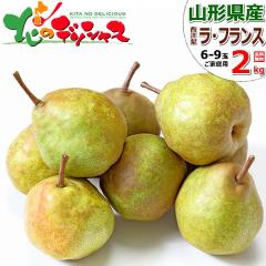 �y�\��z �R�`���Y ���m�� ���ƒ�p ���E�t�����X 2kg (�󂠂�/6�ʁ`9�ʓ���) �{ �H�̖��o �~�̖��o �m�� ���m�� ���t�����X �킯���� ��