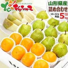 �y�o�ג��z �~�̉ʎ� 2�F�l�ߍ��킹 5kg A�Z�b�g (���E�t�����X�������`/�G�i/16�ʁ`22�ʓ���) �{ �H�̖��o ���m�� �` �~�M�t�g ���Ε� 