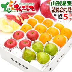 �y�o�ג��z �~�̉ʎ� 3�F�l�ߍ��킹 5kg D�Z�b�g (�T���ӂ������E�t�����X�������`/�G�i/16�ʁ`22�ʓ���) �{ �H�̖��o ��� �����S ��