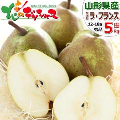 �y�\��z �R�`���Y ���m�� ���E�t�����X 5kg (�G�i/12�ʁ`18�ʓ���) �{ �H�̖��o �~�̖��o �m�� ���m�� �~�M�t�g ���Ε� �M�t�g ���蕨 