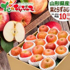 �y�o�ג��z �R�`���Y ��� �t�Ƃ炸�ӂ� 10kg (�G�i/26�ʁ`40�ʓ���) ������ �{ �~�̖��o �����S �ь� �~�M�t�g ���Ε� �M�t�g ���蕨 