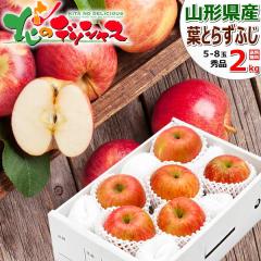 �y�o�ג��z �R�`���Y ��� �t�Ƃ炸�ӂ� 2kg (�G�i/5�ʁ`8�ʓ���) ������ �{ �~�̖��o �����S �ь� �~�M�t�g ���Ε� �M�t�g ���蕨 ��