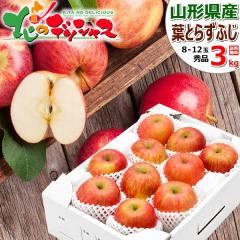 �y�\��z �R�`���Y ��� �t�Ƃ炸�ӂ� 3kg (�G�i/8�ʁ`12�ʓ���) ������ �{ �~�̖��o �����S �ь� �~�M�t�g ���Ε� �M�t�g ���蕨 ����