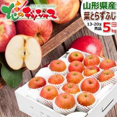 �y�\��z �R�`���Y ��� �t�Ƃ炸�ӂ� 5kg (�G�i/13�ʁ`20�ʓ���) ������ �{ �~�̖��o �����S �ь� �~�M�t�g ���Ε� �M�t�g ���蕨 ��