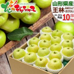 �y�\��z �R�`���Y ��� ���� 10kg (�G�i/26�ʁ`40�ʓ���) �{ �~�̖��o �����S �ь� ������� �~�M�t�g ���Ε� �M�t�g ���蕨 ���� ��