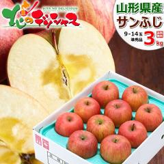 yoגz R`Y ƒp  Tӂ 3kg (Gi/9ʁ`14ʓ) { H̖o ~̖o S ь 킯 󂠂 p 