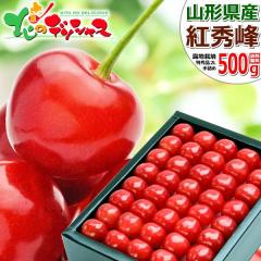 �y�o�ג��z �R�`���Y �������� �g�G�� 500g (���G�i/2L�T�C�Y/��l��/���ϔ�����/�N�[����) ���l�� ��l�� �{ �I�n �ăM�t�g ������ �M
