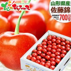 �y�\��z �R�`���Y �������� ������ 700g (�G�i/2L�T�C�Y/��l��/���ϔ�����/�N�[���①) ���� �{ �T�N�����{ �M�t�g ���蕨 ���� ���j