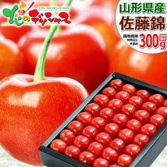 �y�\��z �R�`���Y �������� ������ 300g (���G�i/L�T�C�Y/��l��/���ϔ�����/�N�[���①) ���� �{ �T�N�����{ �M�t�g ���蕨 ���� ��