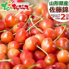 �y�\��z �R�`���Y ���ƒ�p �������� ������ 700g�~2�� (�󂠂�/M�T�C�Y/�΂�l��/�Y�n��/�N�[���①) �I�n �킯���� �T�N�����{ �o��