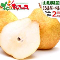 �y�\��z �R�`���Y ���m�� �V���o�[�x�� 2kg (�G�i/3�ʁ`6�ʓ���) �{ �~�̖��o �m�� ���m�� �~�M�t�g ������ �M�t�g ���蕨 ���� ���j�� 
