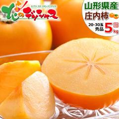 �y�\��z�R�`���Y �����` 5kg (�G�i/20�ʁ`30�ʓ���) �H�̖��o �` ���� �J�L ���傤�Ȃ����� �R�`�� �����n�� �~�M�t�g ������ �M�t�g ��