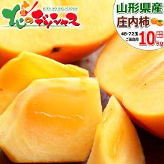 �y�\��z�R�`���Y ���ƒ�p �����` 10kg (�󂠂�/48�ʁ`72�ʓ���) �H�̖��o �` ���� �J�L ���傤�Ȃ����� �R�`�� �����n�� �킯���� ����