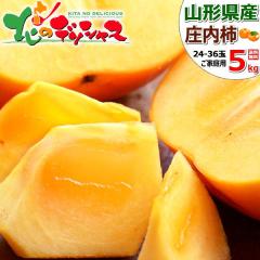 �y�\��z�R�`���Y ���ƒ�p �����` 5kg (�󂠂�/24�ʁ`36�ʓ���) �H�̖��o �` ���� �J�L ���傤�Ȃ����� �R�`�� �����n�� �킯���� ����