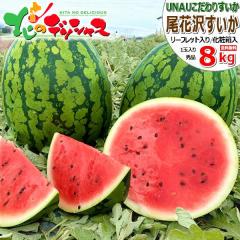 �y�\��z UNAU �R�`���Y ���ԑ򂷂��� 1�� 8kg (�G�i/�퉷) UNAU ���Ȃ� �E�i�E ���ԑ�X�C�J �Ă����� �ăX�C�J ������ �X�C�J ���Z ��